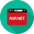.Net Developer